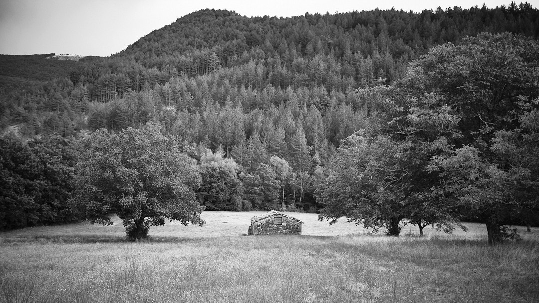 A solitary stone shelter